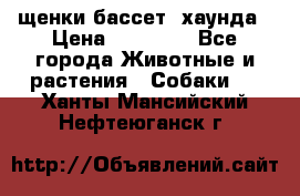 щенки бассет- хаунда › Цена ­ 20 000 - Все города Животные и растения » Собаки   . Ханты-Мансийский,Нефтеюганск г.